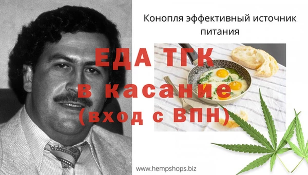 амф Щучье