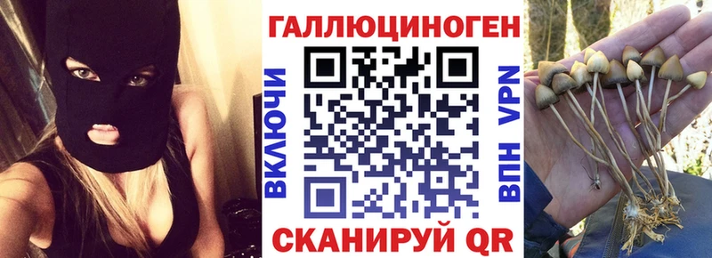 купить   blacksprut ссылка  Псилоцибиновые грибы прущие грибы  Венёв 